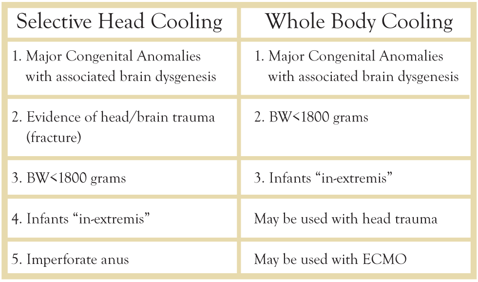 brain cooling cap